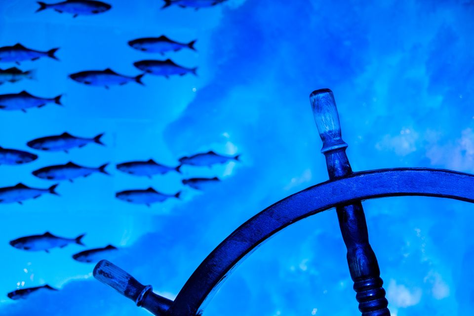 ice bar amsterdam liput ()